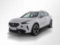 CUPRA Formentor VZ 2.0 TSI 4Drive DSG ParkAssist ACC Weiß - thumbnail 14