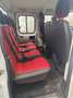 Fiat Ducato Ducato Maxi Kipper Doppelka Austauschmotor 45.000 Weiß - thumbnail 13