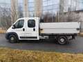 Fiat Ducato Ducato Maxi Kipper Doppelka Austauschmotor 45.000 Weiß - thumbnail 10