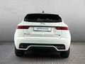 Jaguar E-Pace Plug-In Hybrid P300e AWD R-Dynamic S Weiß - thumbnail 7