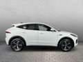 Jaguar E-Pace Plug-In Hybrid P300e AWD R-Dynamic S Weiß - thumbnail 6