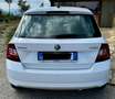 Skoda Fabia 1.4 tdi Active 90cv Bianco - thumbnail 5