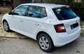 Skoda Fabia 1.4 tdi Active 90cv Bianco - thumbnail 4
