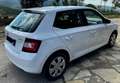 Skoda Fabia 1.4 tdi Active 90cv Bianco - thumbnail 6