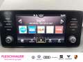 Skoda Fabia Ambition 1.0 TSI LED  Apple CarPlay DAB Noir - thumbnail 12