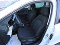 SEAT Arona Style 1.Hd*Navi*LED*SHZ*Tempomat*PDC Weiß - thumbnail 8