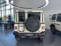 Ineos Grenadier Station Wagon Trialmaster Edition KAM Weiß - thumbnail 13