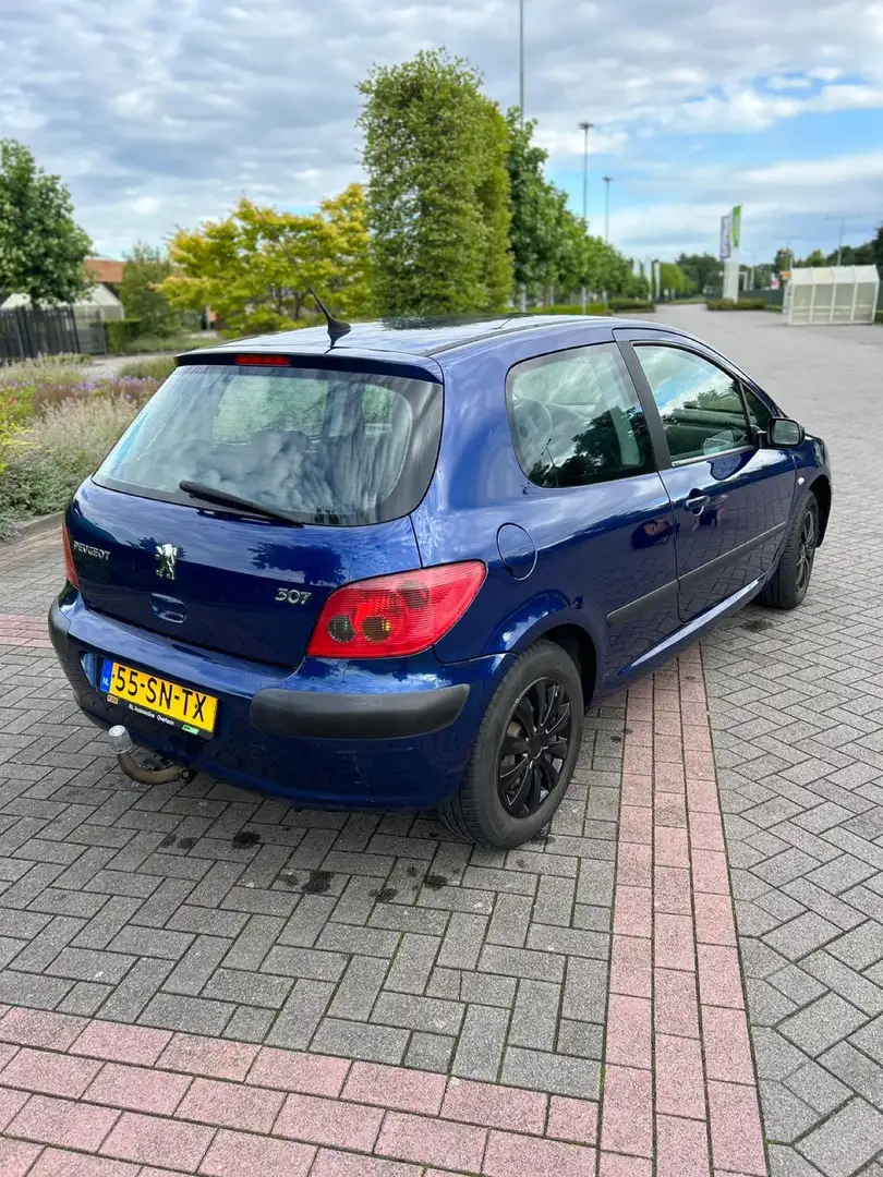 Peugeot 307 Blu/Azzurro - 2