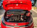 Kia Picanto Picanto 1.0 12V GPL 5 porte Style Rot - thumbnail 15