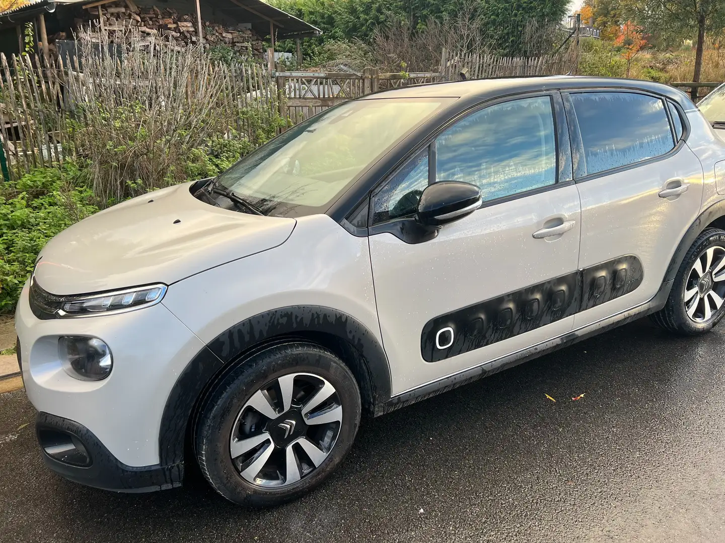 Citroen C3 C3 1.2 PureTech Shine S Beige - 1