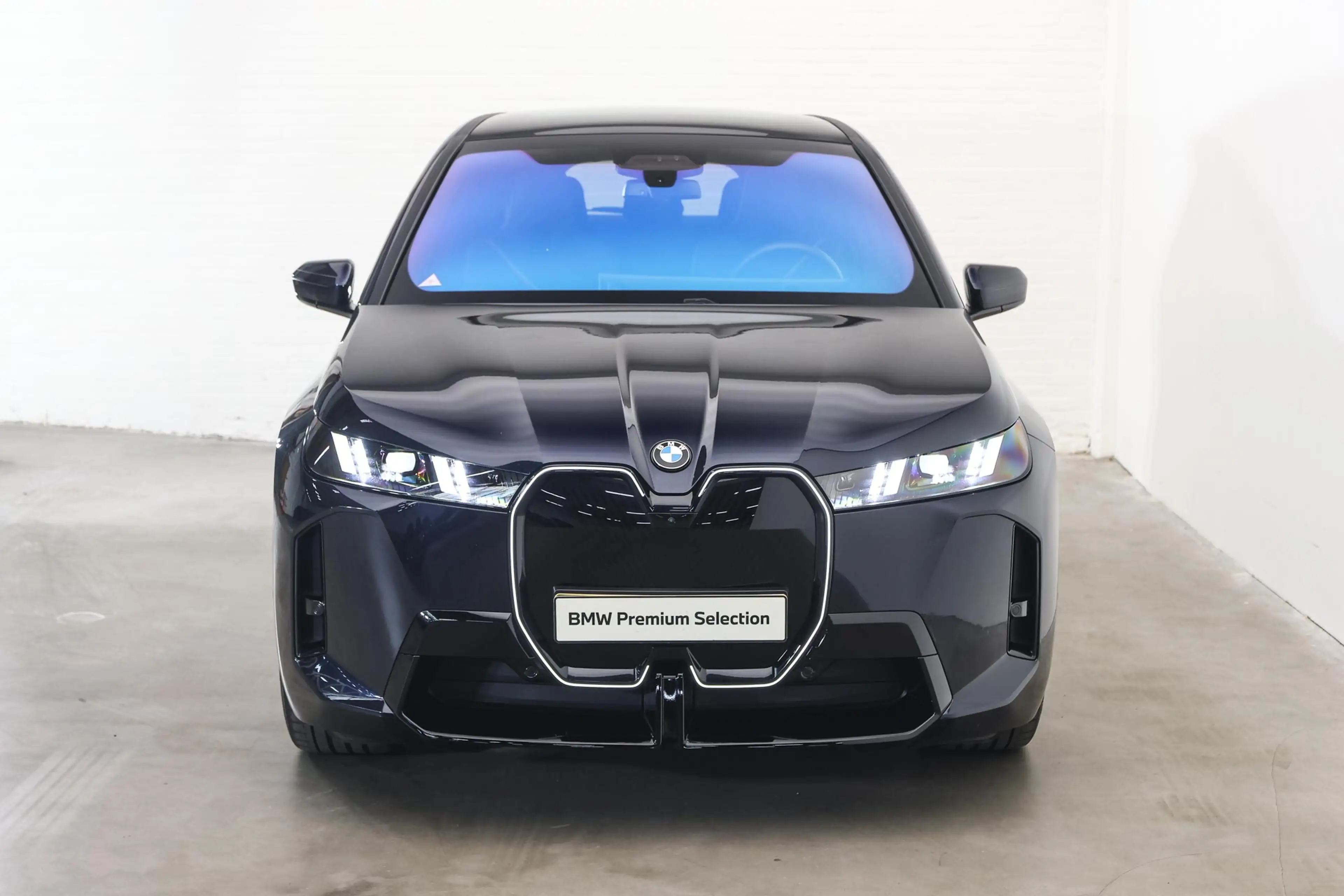 BMW iX xDrive45 M Sport / Panoramadak Sky Lounge / Trekha — photo 6