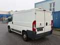 Peugeot Boxer L1H1 2,2 HDi 130 Kühler - thumbnail 3