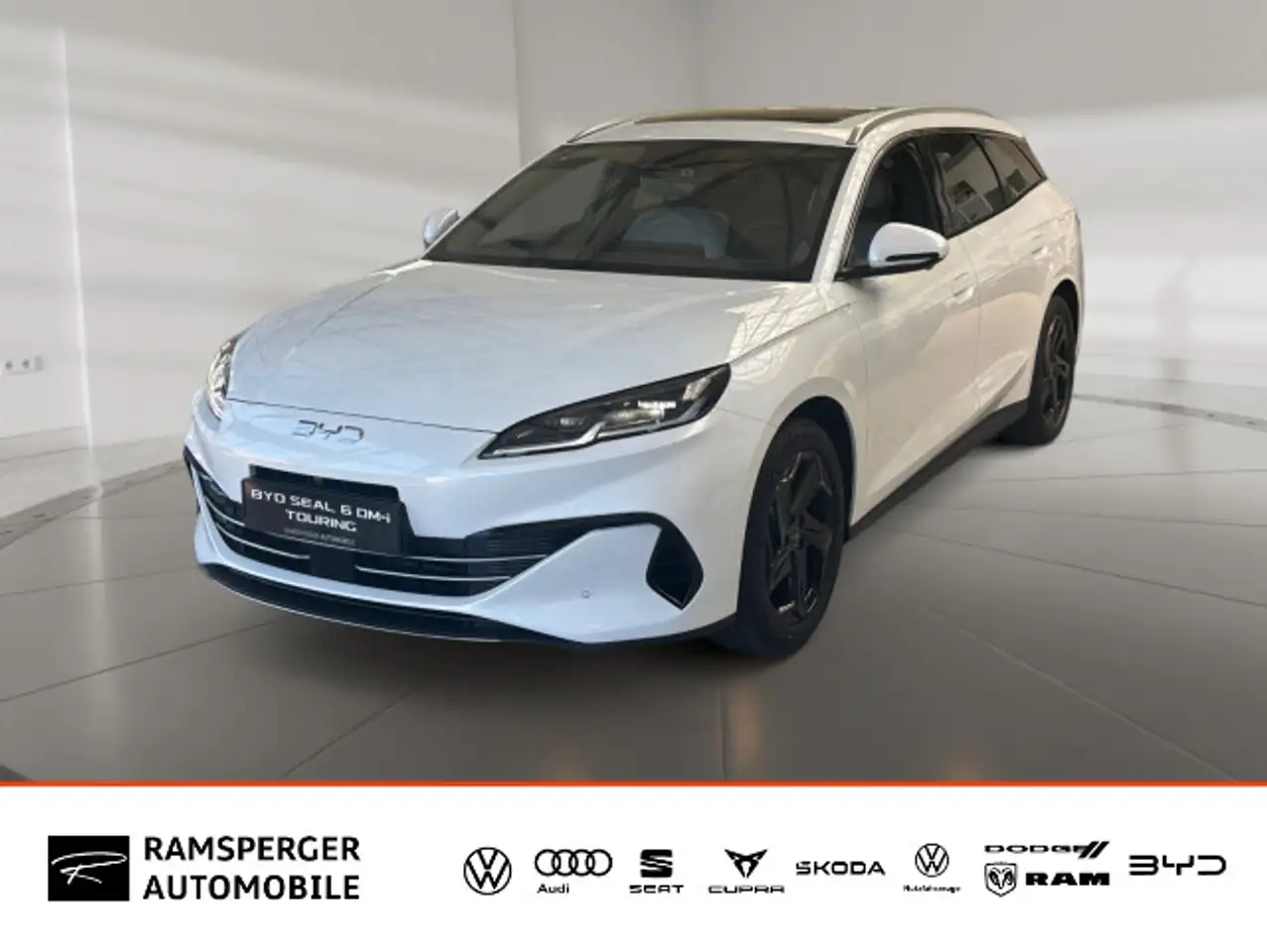 BYD Sonstige