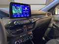 Ford Kuga 2.5 phev ST-Line X 2wd 225cv cvt Gris - thumbnail 12