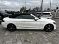 Mercedes-Benz C 220 d Sport Cabrio Full !!!!!!!!! Bianco - thumbnail 4