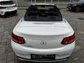 Mercedes-Benz C 220 d Sport Cabrio Full !!!!!!!!! Bianco - thumbnail 8