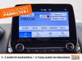 Ford EcoSport 1.0 ecoboost st-line s&s 125cv my20.25 Blu/Azzurro - thumbnail 24