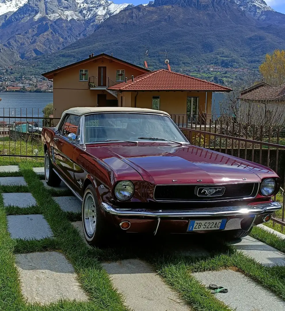 Ford Mustang - 1