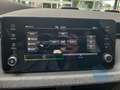 Skoda Kamiq Selection 1.0 TSI DSG LED RFK Smart-Link Grau - thumbnail 31