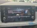 Skoda Kamiq Selection 1.0 TSI DSG LED RFK Smart-Link Grau - thumbnail 28