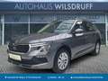 Skoda Kamiq Selection 1.0 TSI DSG LED RFK Smart-Link Grau - thumbnail 1