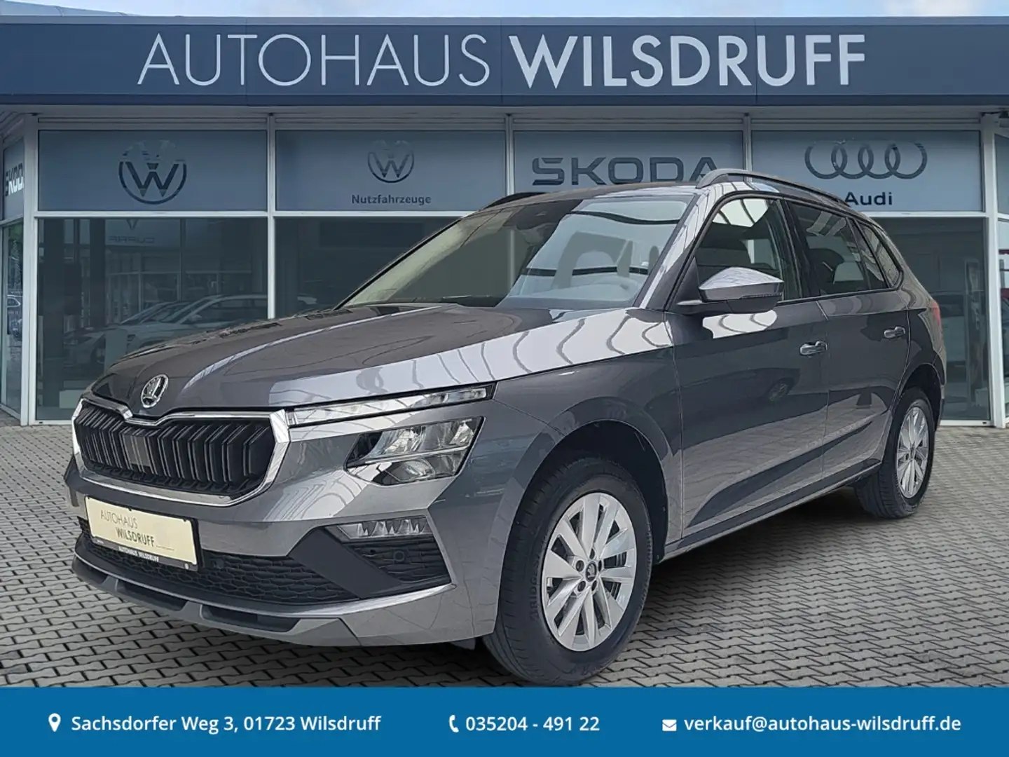 Skoda Kamiq Selection 1.0 TSI DSG LED RFK Smart-Link Grau - 1