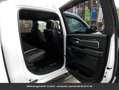 Dodge RAM Bighorn 4*4 Crew Cab 4x4 Tout compris hors homolog Blanc - thumbnail 14