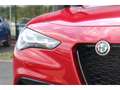 Alfa Romeo Stelvio Stelvio 2.2 D - 160 - BVA 2024  Sprint AT8 Rot - thumbnail 9