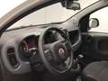 Fiat Panda Panda 1.0 firefly hybrid Cross - PF Blanc - thumbnail 11