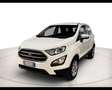 Ford EcoSport 1.5 EcoBlue 125cv Business AWD Bianco - thumbnail 1