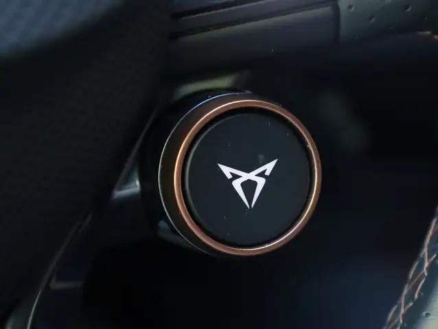 Cupra Born view 22