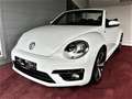 Volkswagen Beetle Sport Cabrio R-Line Sportsitze / Xenon / Automatik Blanc - thumbnail 14