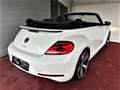 Volkswagen Beetle Sport Cabrio R-Line Sportsitze / Xenon / Automatik Blanc - thumbnail 7