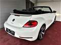 Volkswagen Beetle Sport Cabrio R-Line Sportsitze / Xenon / Automatik Weiß - thumbnail 7