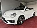 Volkswagen Beetle Sport Cabrio R-Line Sportsitze / Xenon / Automatik Blanc - thumbnail 15
