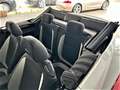 Volkswagen Beetle Sport Cabrio R-Line Sportsitze / Xenon / Automatik Blanc - thumbnail 10