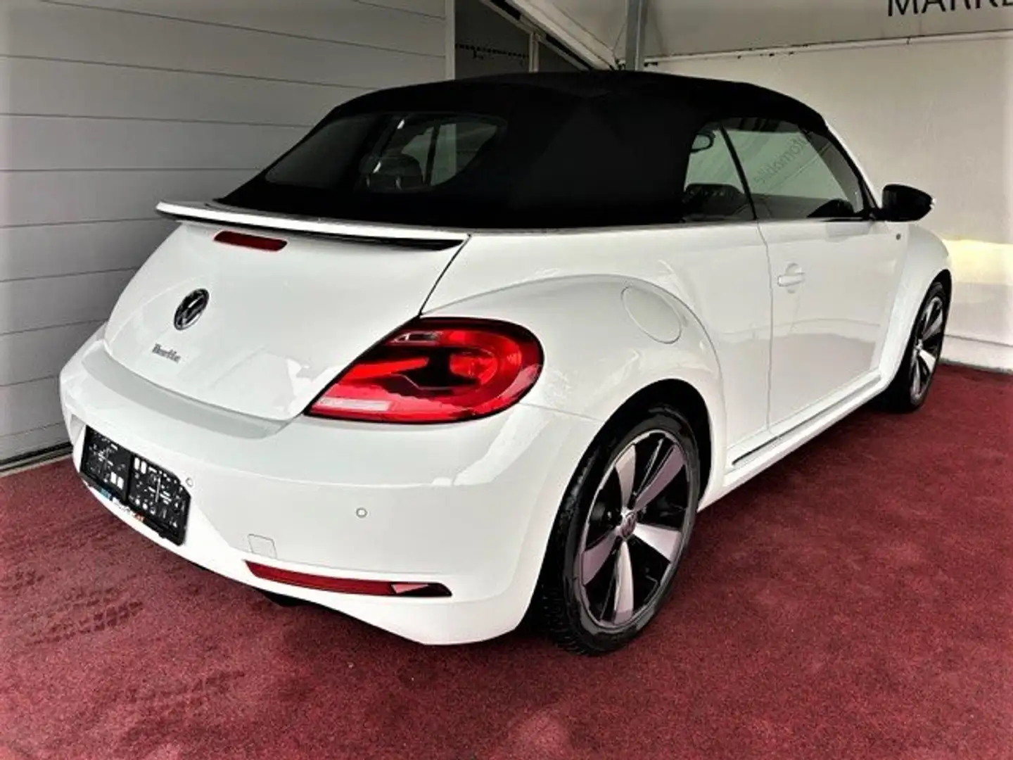 Volkswagen Beetle Sport Cabrio R-Line Sportsitze / Xenon / Automatik Weiß - 1