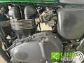 Triumph Scrambler 900 12 mesi di garanzia inclusa Verde - thumbnail 2