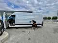 Mercedes-Benz Sprinter Passo Lungo Tetto Alto 150 Cv - thumbnail 4