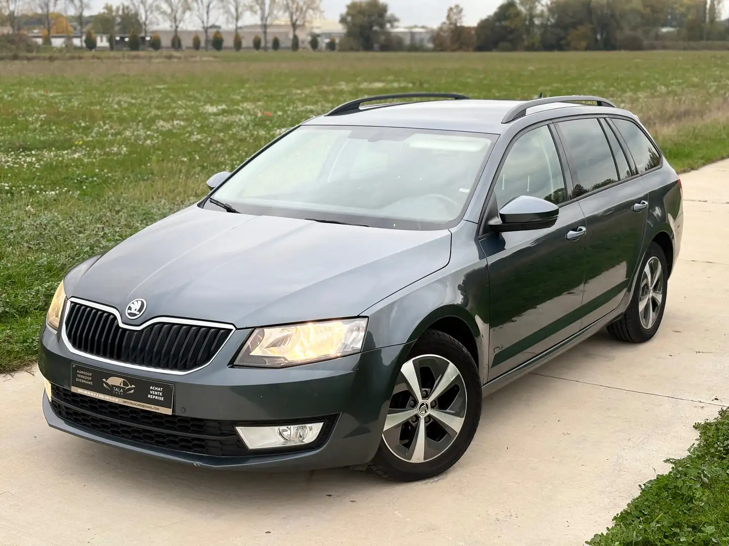 Skoda Octavia Octavia SW 1.6 CRTDI JANTES NAVI BLUETOOTH GARANT Grau - 1