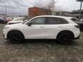 Honda ZR-V e:HEV Sport|Navi|Allwetter|RFK Weiß - thumbnail 5