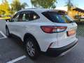 Ford Kuga EcoBlue Aut.,* LED, AHK, Navi, Tempomat,...* Weiß - thumbnail 4