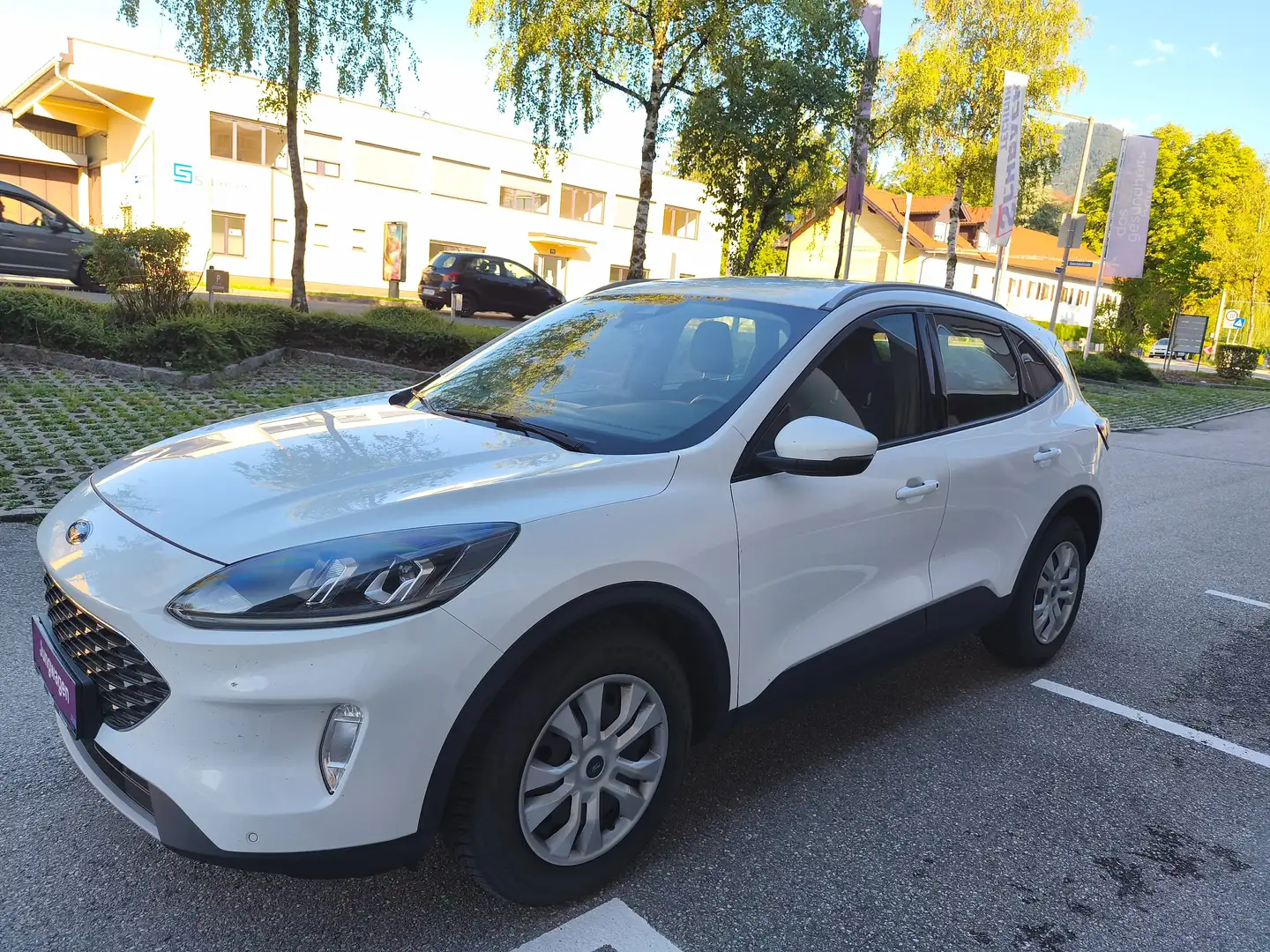 Ford Kuga EcoBlue Aut.,* LED, AHK, Navi, Tempomat,...* Weiß - 2