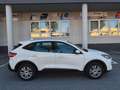 Ford Kuga EcoBlue Aut.,* LED, AHK, Navi, Tempomat,...* Weiß - thumbnail 6
