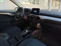 Ford Kuga EcoBlue Aut.,* LED, AHK, Navi, Tempomat,...* Weiß - thumbnail 14