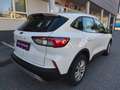 Ford Kuga EcoBlue Aut.,* LED, AHK, Navi, Tempomat,...* Weiß - thumbnail 5