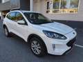 Ford Kuga EcoBlue Aut.,* LED, AHK, Navi, Tempomat,...* Weiß - thumbnail 7