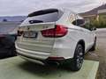 BMW X5 Xdrive 40d Experience Full Tetto Pano Blanc - thumbnail 5