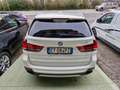 BMW X5 Xdrive 40d Experience Full Tetto Pano Blanc - thumbnail 6