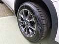 BMW X5 Xdrive 40d Experience Full Tetto Pano Blanc - thumbnail 15